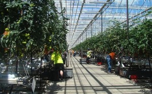 Would you like to look inside Costa?